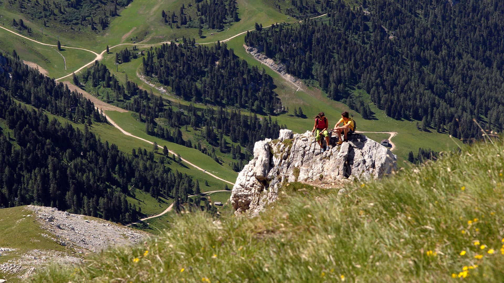 Val di Fiemme DolomiApartments